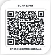 Scan & Pay QR